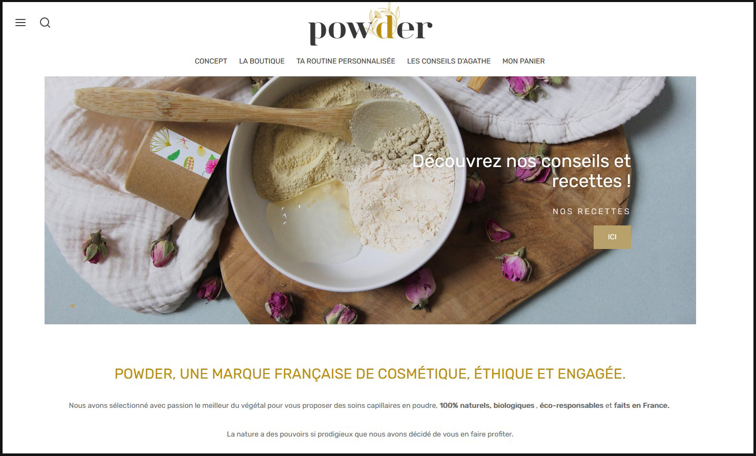 powder1